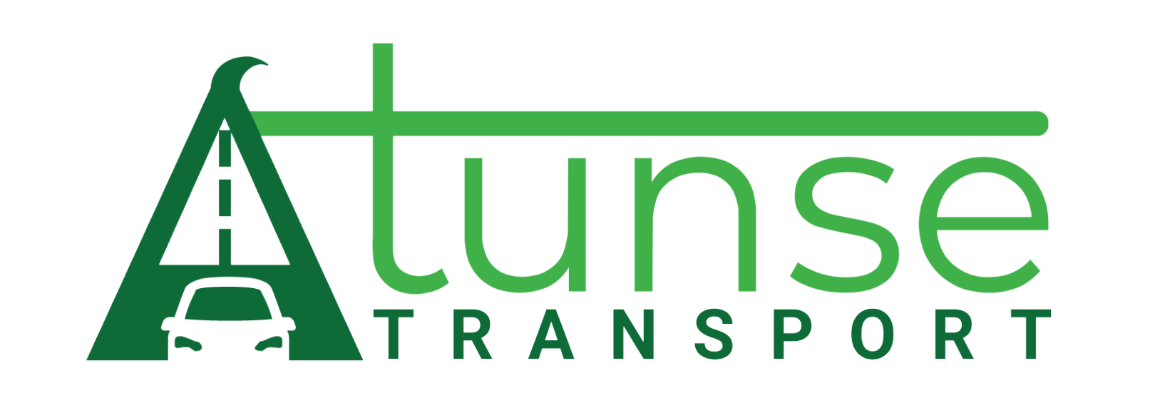 Atunse Innovations Logo